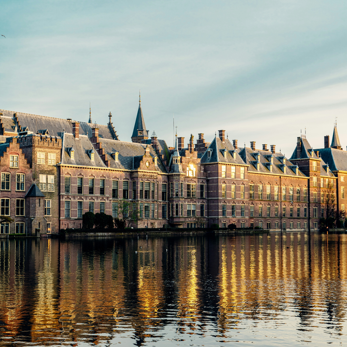 Werken bij de gemeente Den Haag